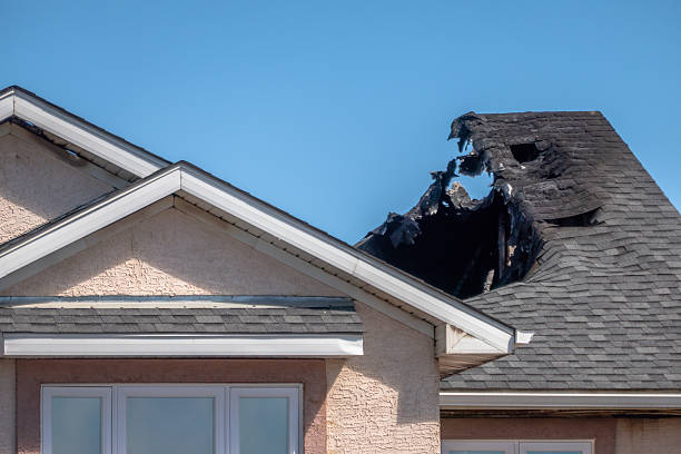Top rated local Soot Cleanup specialists in Centreville, MD
